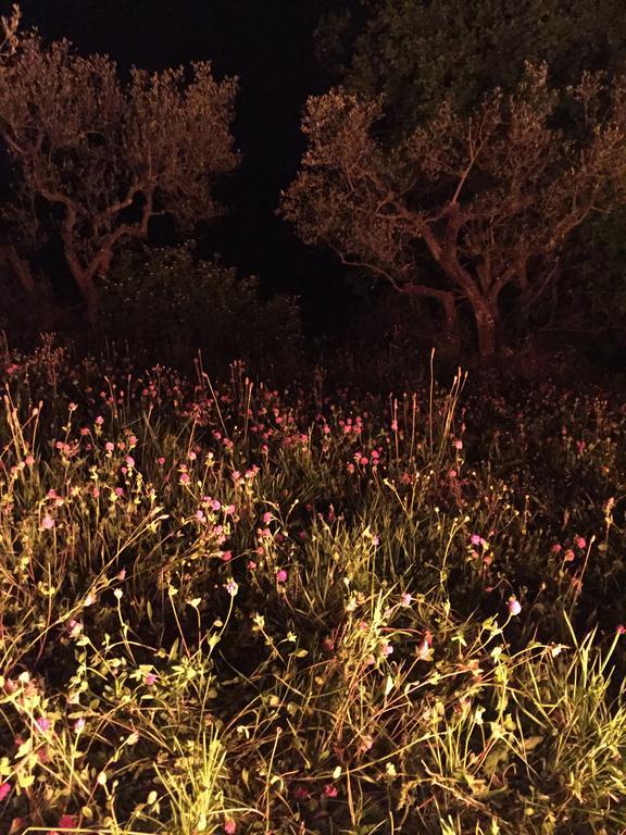 B&B Il Grotto Bevagna Εξωτερικό φωτογραφία