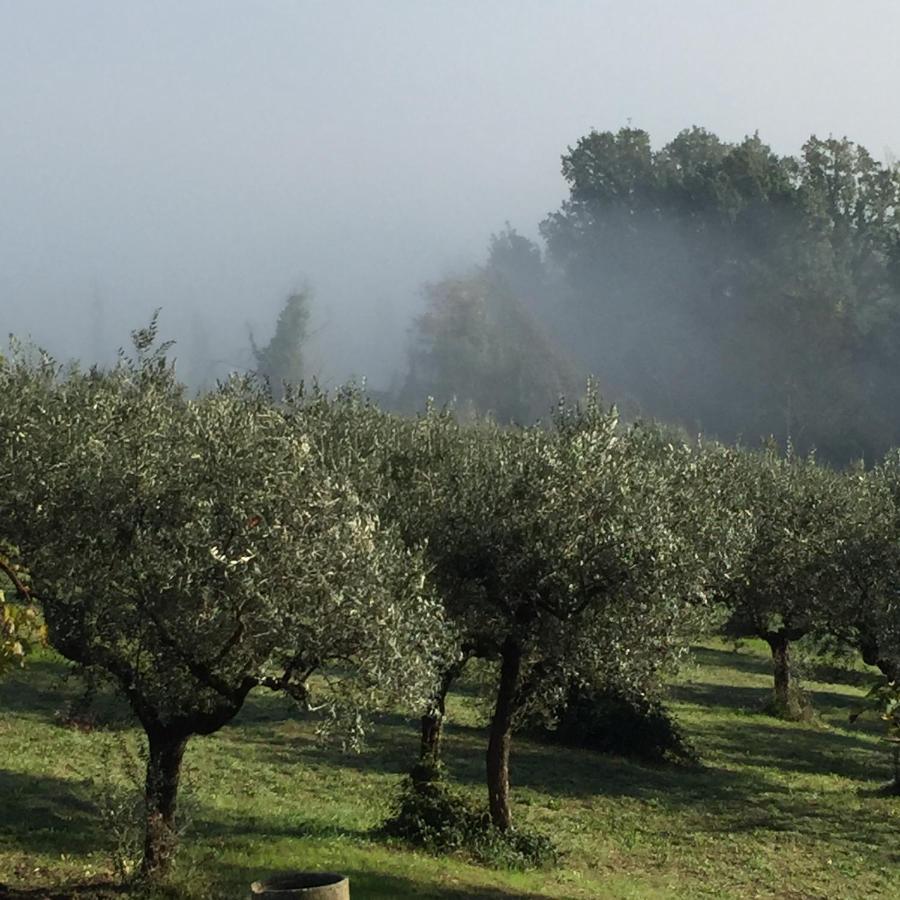 B&B Il Grotto Bevagna Εξωτερικό φωτογραφία