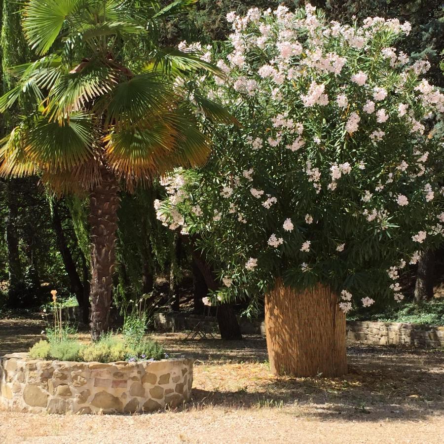 B&B Il Grotto Bevagna Εξωτερικό φωτογραφία