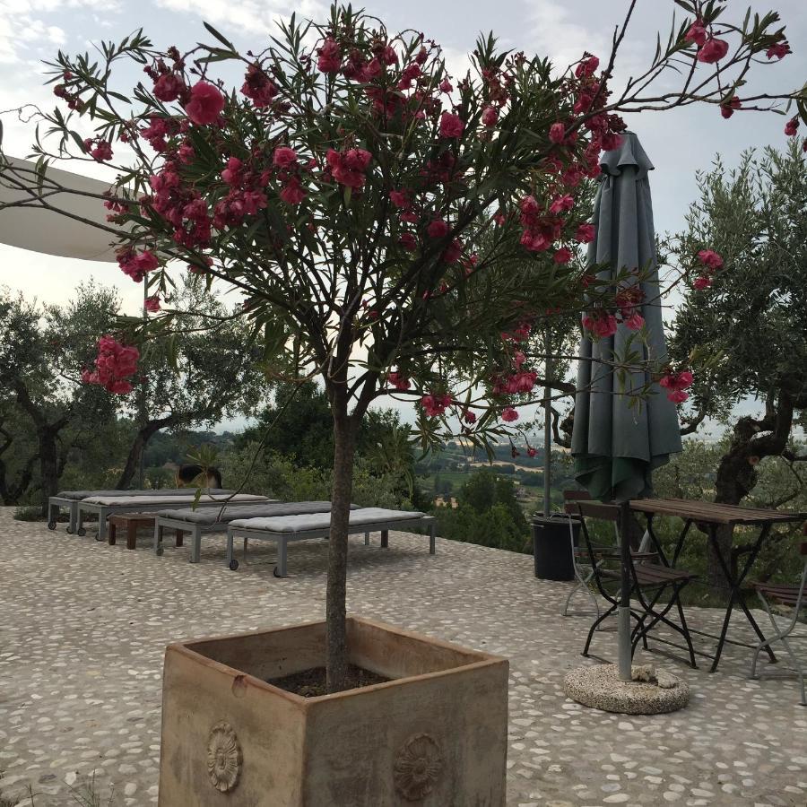 B&B Il Grotto Bevagna Εξωτερικό φωτογραφία